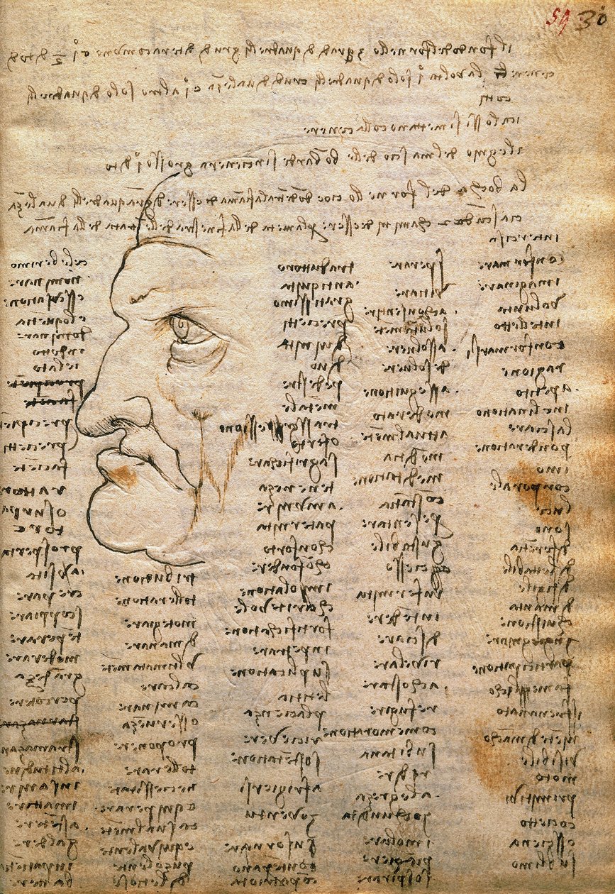 Lista de palabras y perfil masculino, del Codex Trivulzianus de Leonardo da Vinci