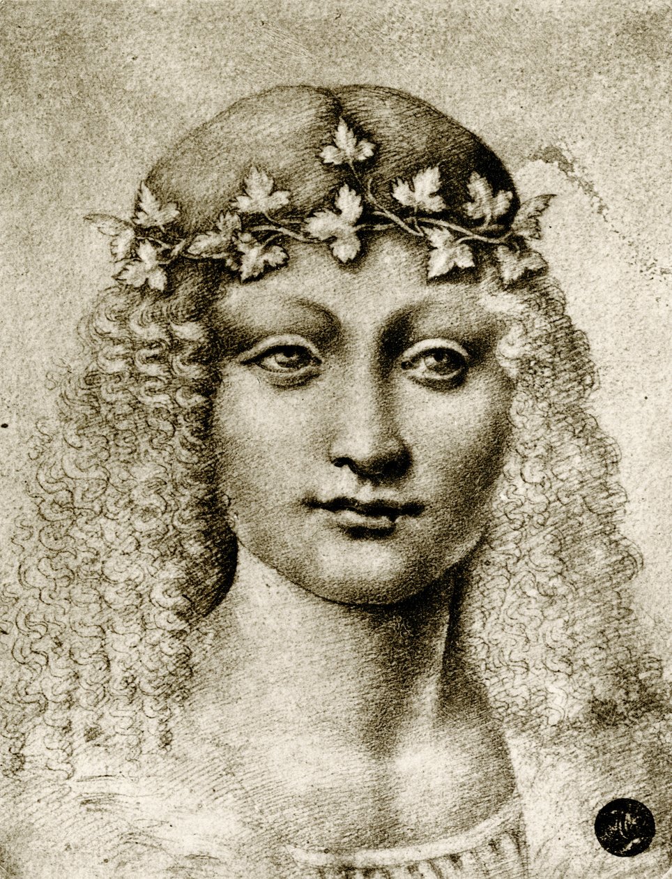Cabeza de una niña con corona de vid de Leonardo da school of Vinci
