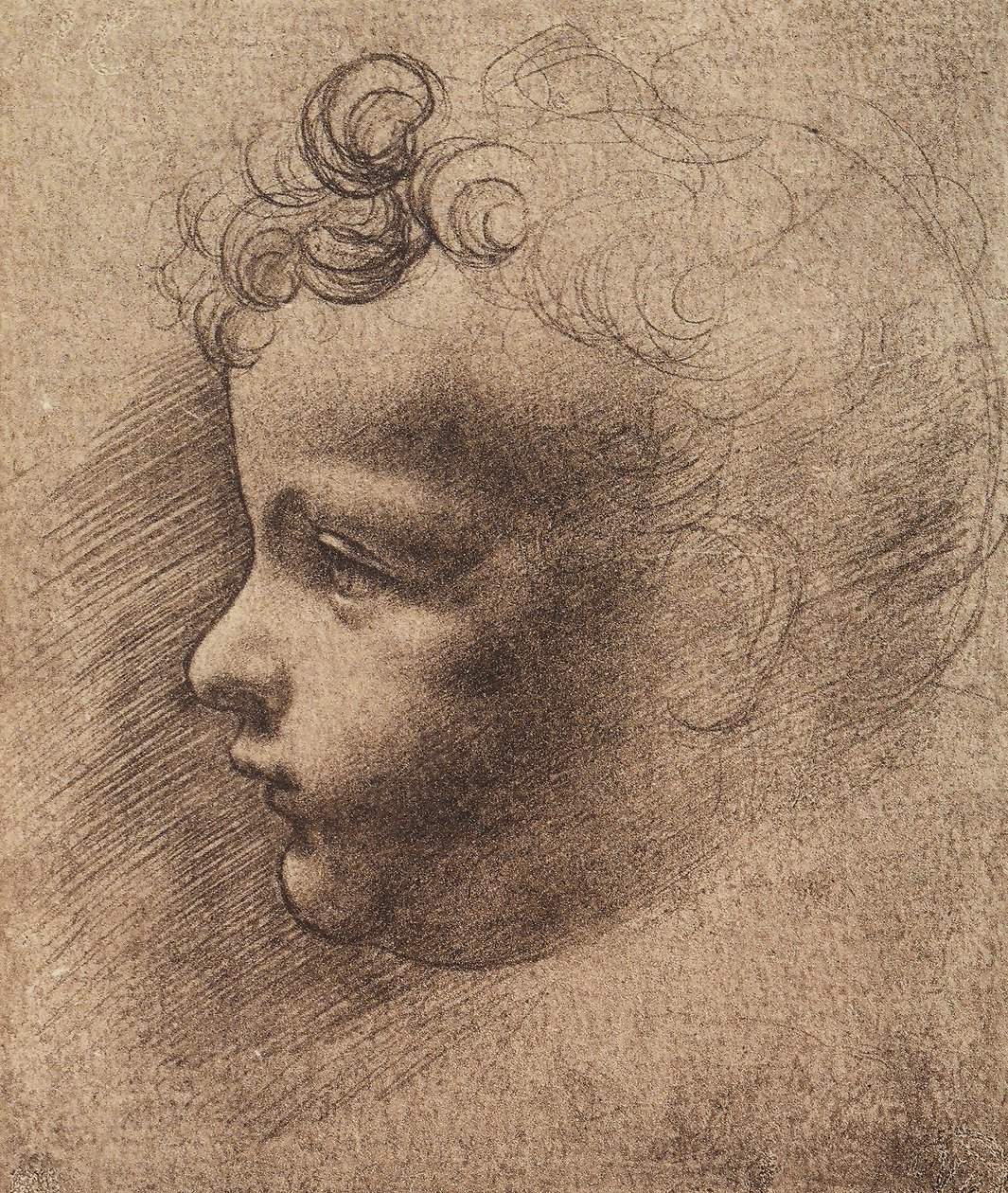 Cabeza de un niño pequeño de Leonardo da school of Vinci
