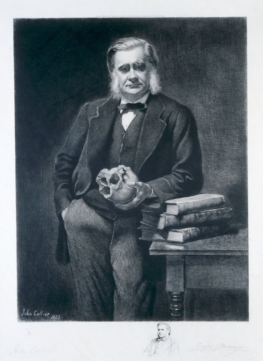 Thomas Henry Huxley de Leopold Flameng