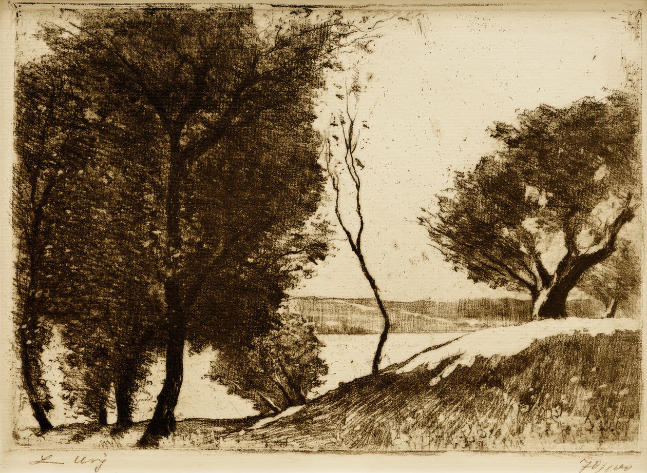 Ribera arbolada en el lago de Brandeburgo de Lesser Ury