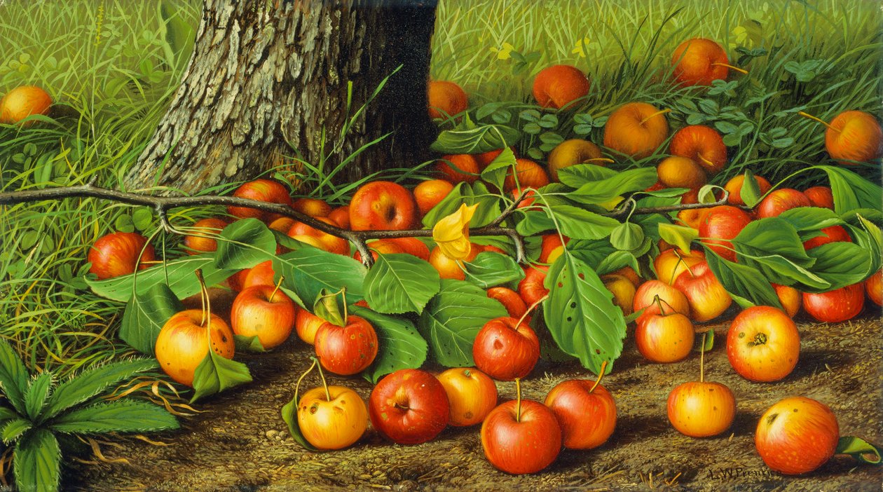 Bodegón con manzanas junto a un árbol (óleo sobre lienzo) de Levi Wells Prentice