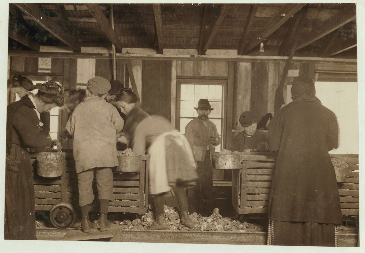 Mike Murphy de 10 años, Annie Healy de 7 años y Ross Healy de 10 años (que ha estado trabajando durante 2 años) en el cobertizo de descascarado en Alabama Canning Co, Bayou La Batre, Alabama, 1911 de Lewis Wickes Hine