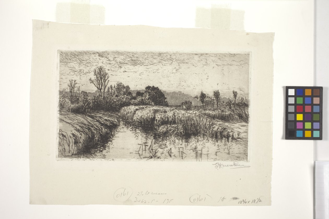 Tarde en marzo, Schleissheim, Baviera (aguafuerte) de Lewis Henry Meakin