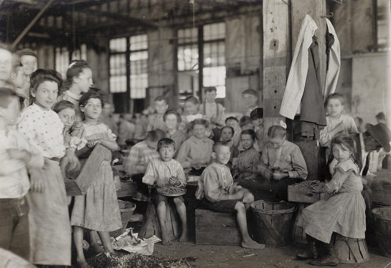 Baltimore, Maryland, julio de 1909 de Lewis Wickes Hine