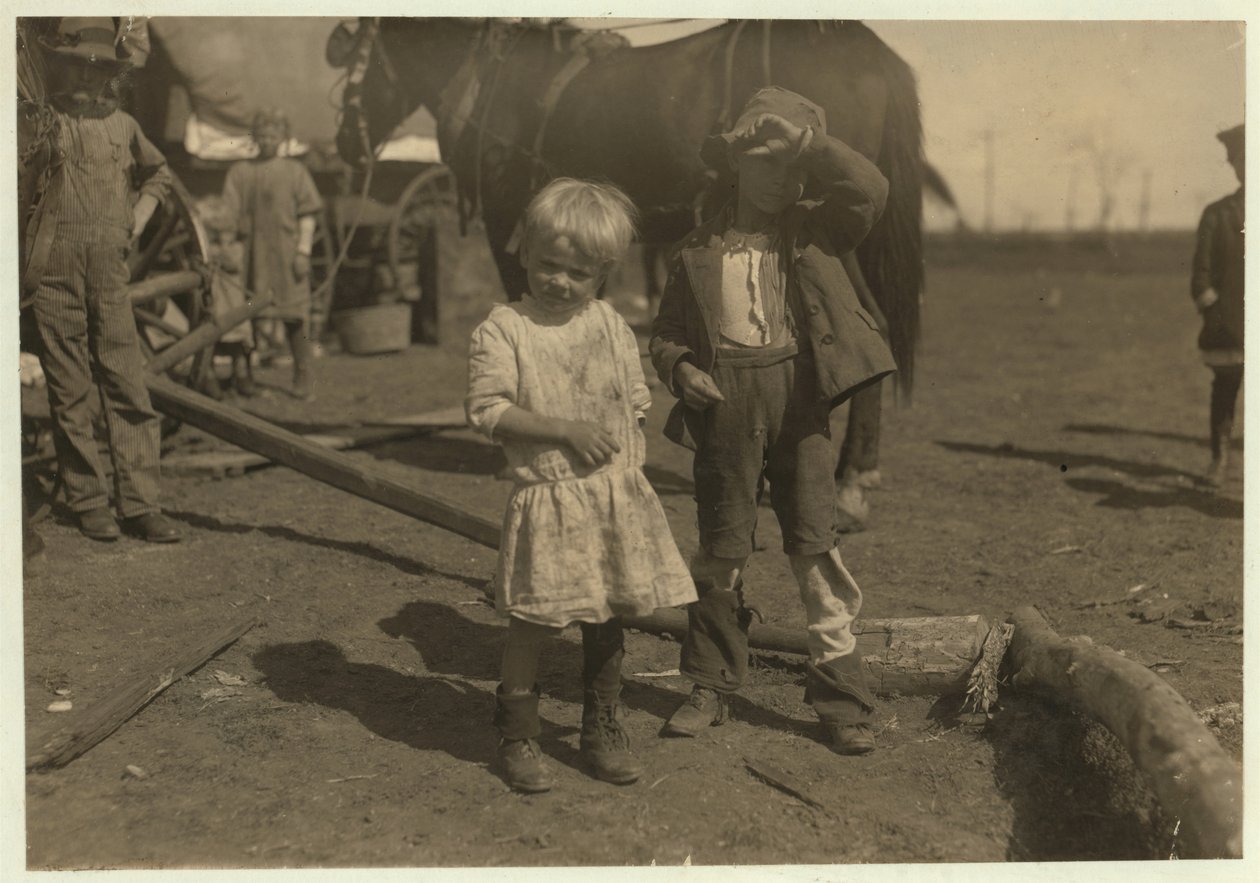 Recolector de algodón de 4 años que recoge 15 libras al día regularmente y de 7 años que recoge 50. Se mudan de granja en granja y viven en vagones de emigrantes, McKinney, Texas, 1913 de Lewis Wickes Hine