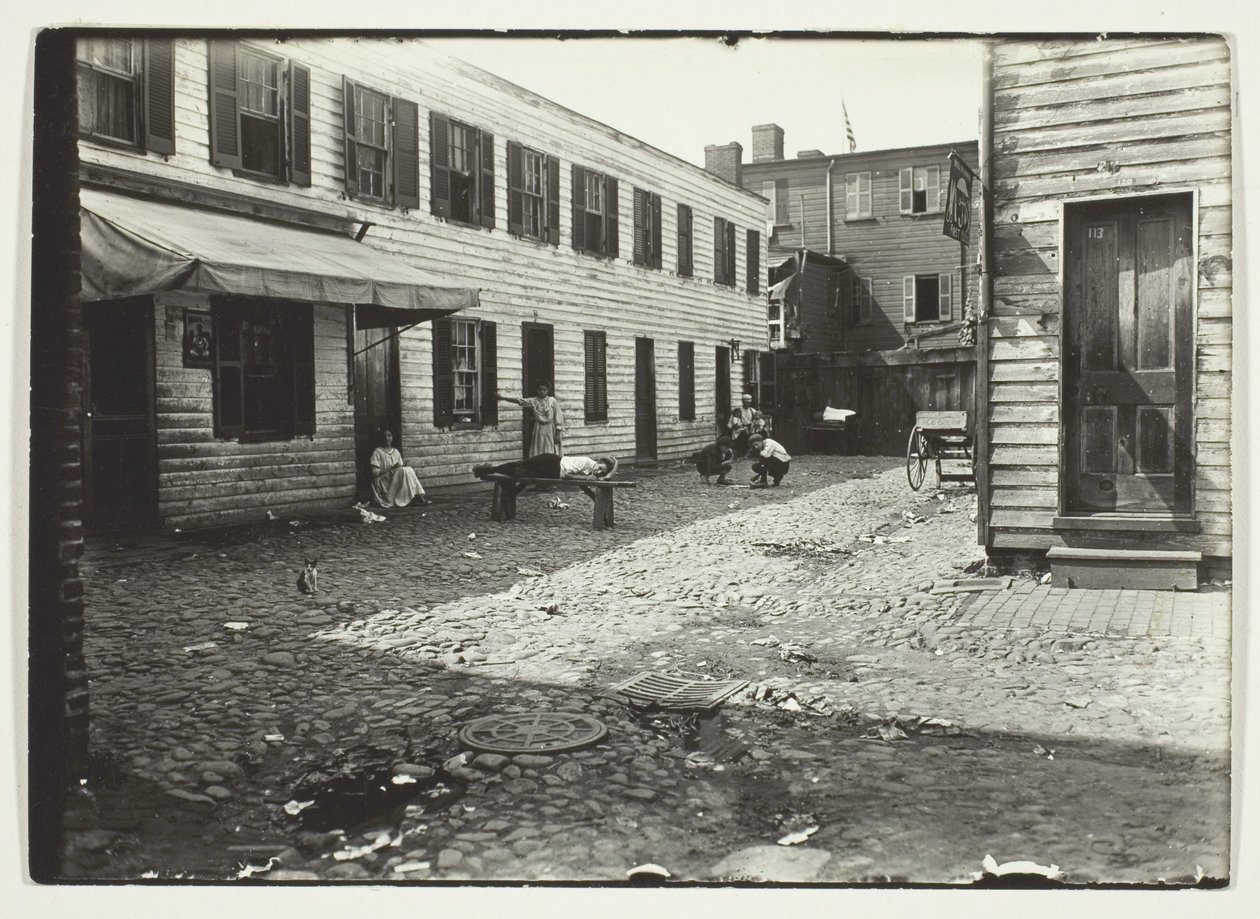 Negro Alley Housing Whites, Washington, D.C. de Lewis Wickes Hine