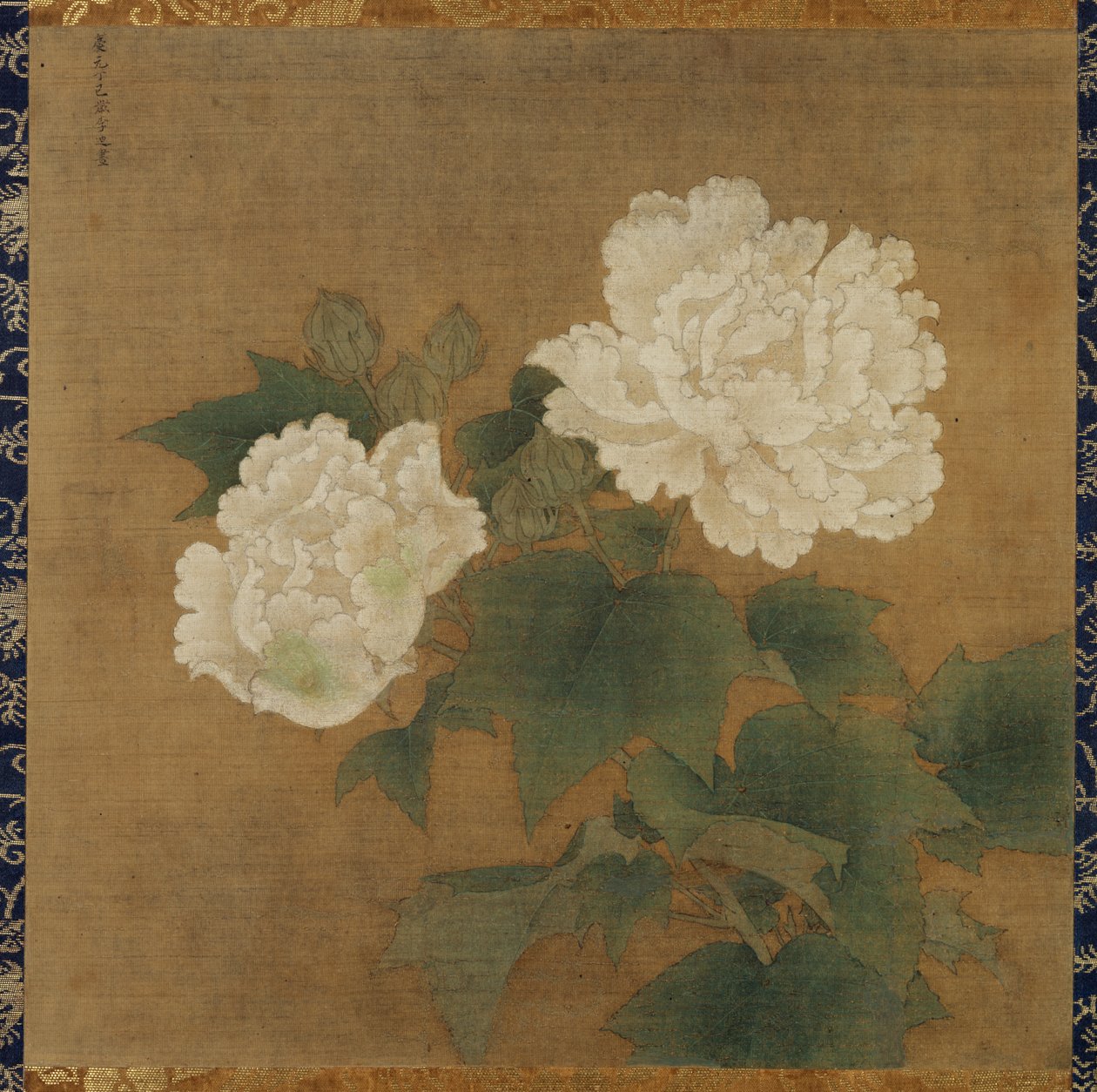 Hibiscos blancos de Li Di