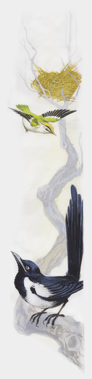 Pájaro construyendo su nido en un árbol, mientras una urraca observa desde una rama más baja, dibujo de Unbekannt Unbekannt