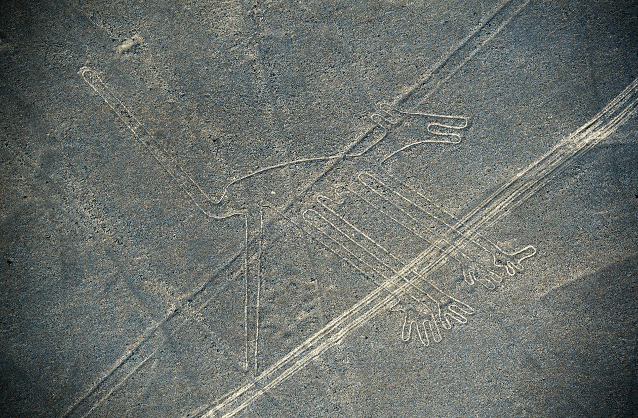Perro, Líneas de Nazca, Nazca, Perú, Civilización Nazca (foto) de Unbekannt Unbekannt