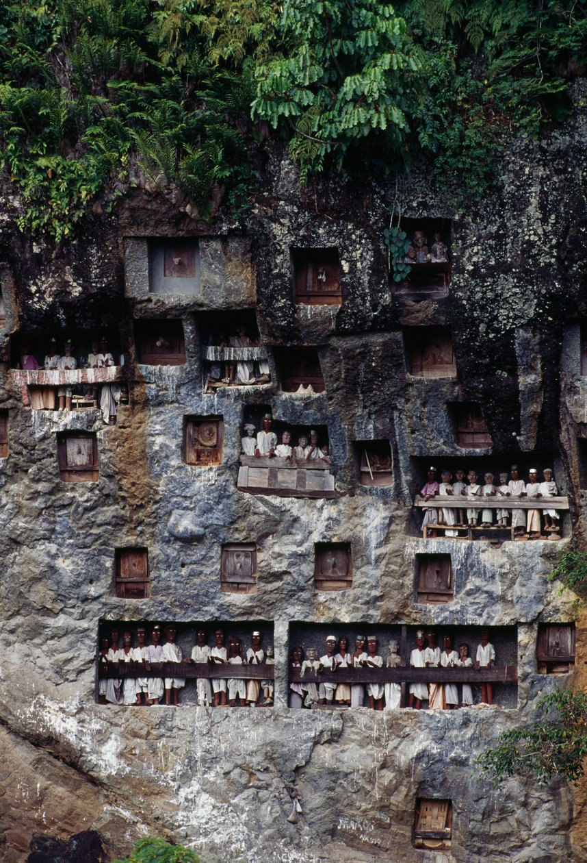 Nichos funerarios con figuras mortuorias Tau Tau, pueblo de Lemo, isla de Sulawesi, Indonesia de Unbekannt Unbekannt