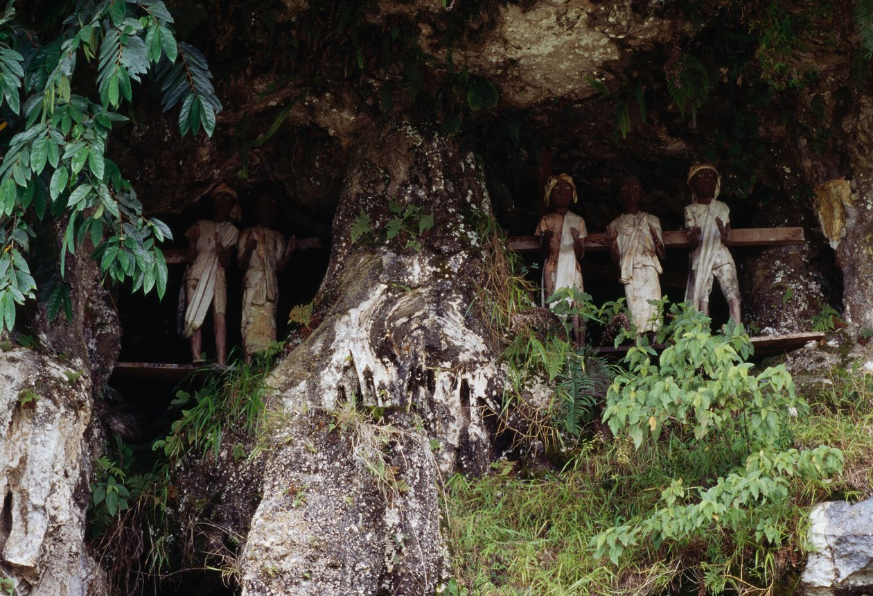 Nichos funerarios con figuras mortuorias Tau Tau, aldea Marrante, isla de Sulawesi, Indonesia de Unbekannt Unbekannt