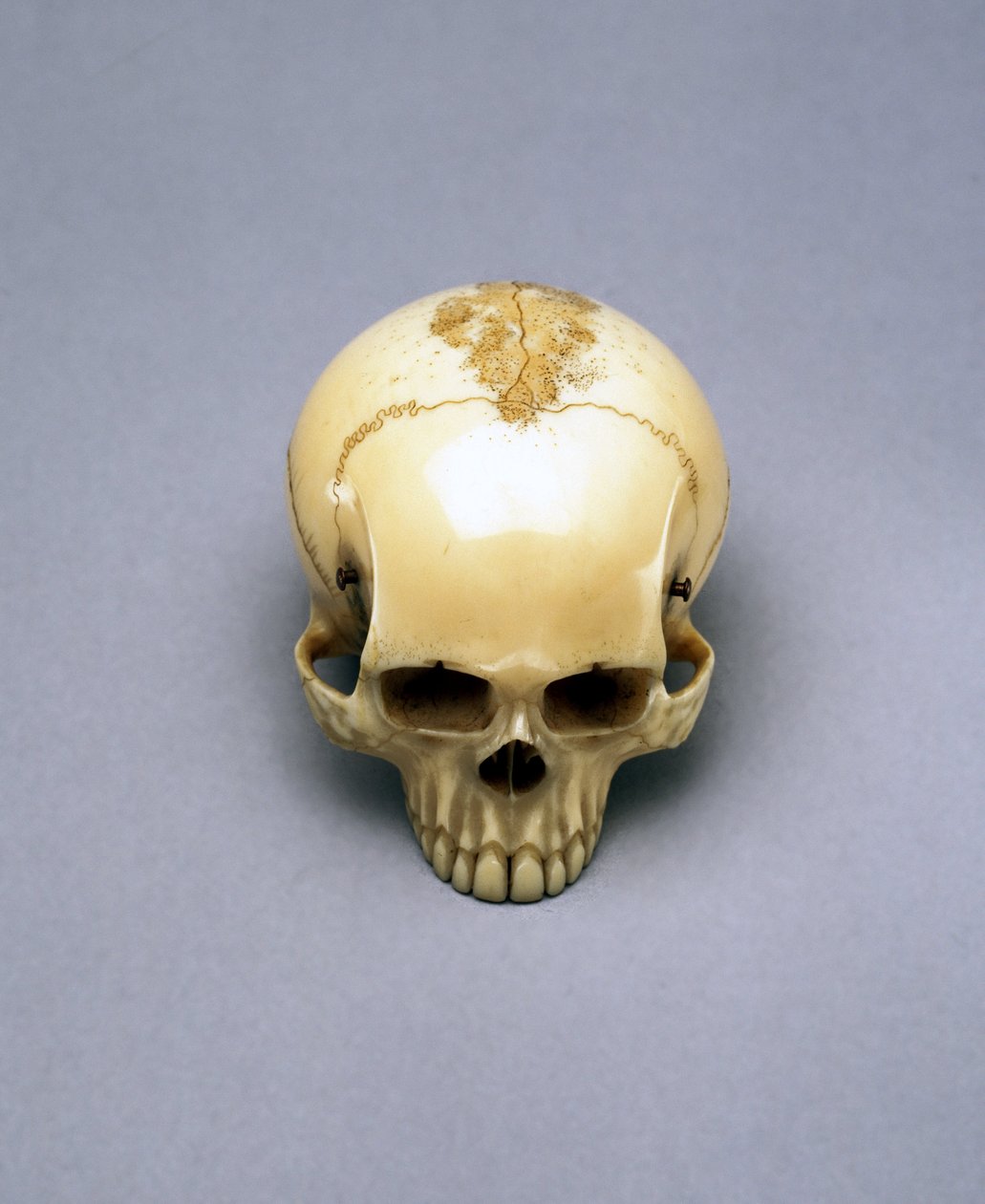 Modelo de un cráneo, probablemente un netsuke, japonés de Unbekannt Unbekannt