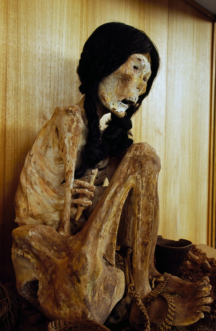 Momia conocida como Miss Chile, de San Pedro de Atacama, Chile, 500 a.C. de Unbekannt Unbekannt