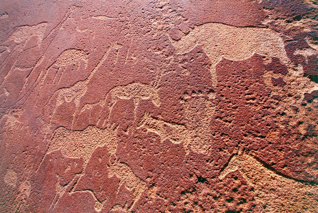 Namibia, Área Silvestre de Damaraland, Twyfelfontein, Montañas Brandberg, grabados rupestres de la Edad de Piedra de Unbekannt Unbekannt