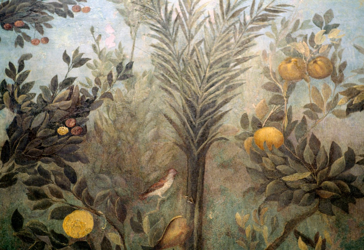 Árbol de granada, (detalle) de un fresco que representa un jardín con árboles frutales y pájaros, de la Casa de Livia en la colina Palatina, Roma, Italia. Civilización romana de Unbekannt Unbekannt