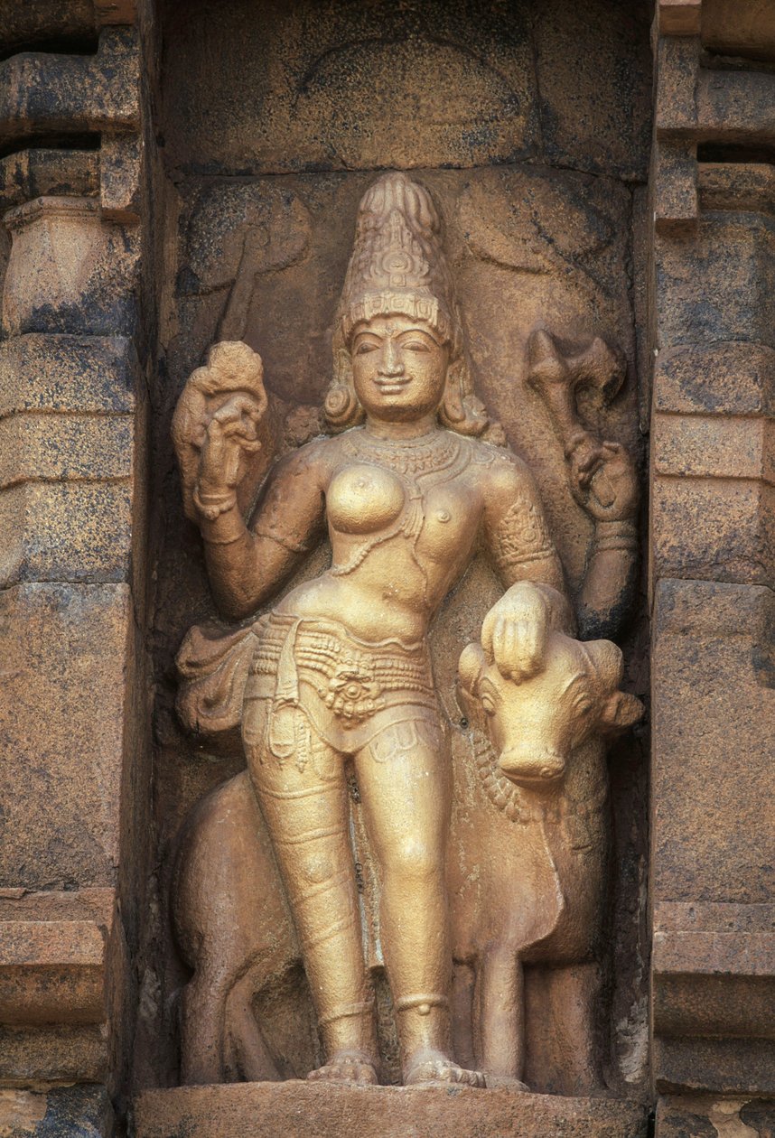 Relieve que representa a Parvati, templo Brihadisvara, Gangaikonda Cholapuram, Tamil Nadu, India de Unbekannt Unbekannt