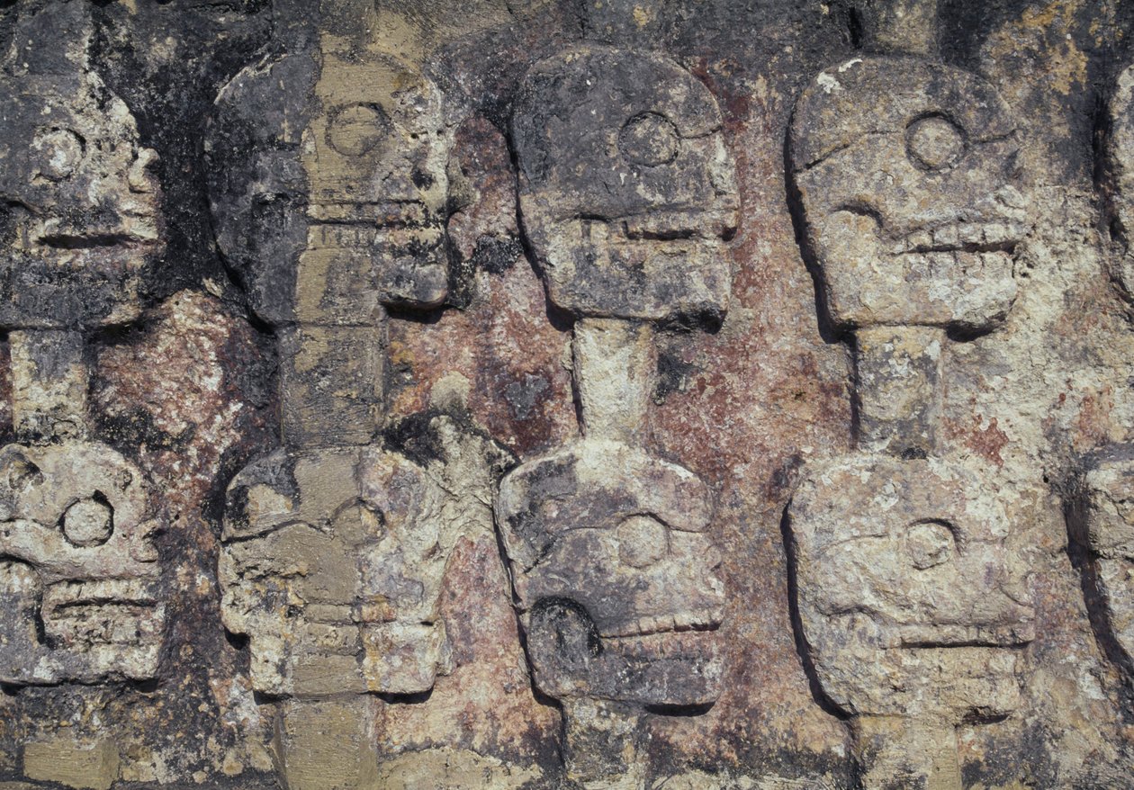 Relieve que representa cráneos humanos, detalle del Tzompantli, o Muro de Cráneos, sitio arqueológico de Chichén Itzá (Patrimonio de la Humanidad por la UNESCO) de Unbekannt Unbekannt
