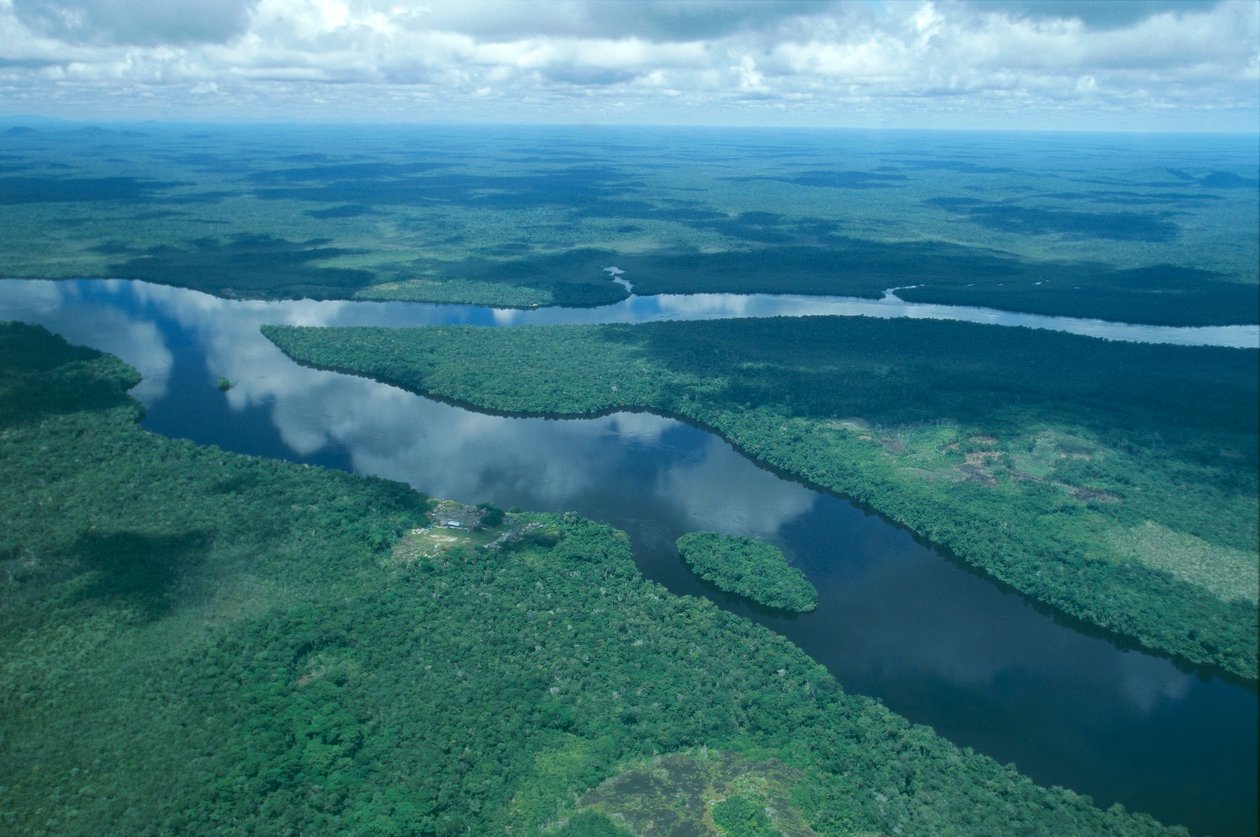 Venezuela, Guayana, Estado Amazonas, río Orinoco, vista aérea de Unbekannt Unbekannt