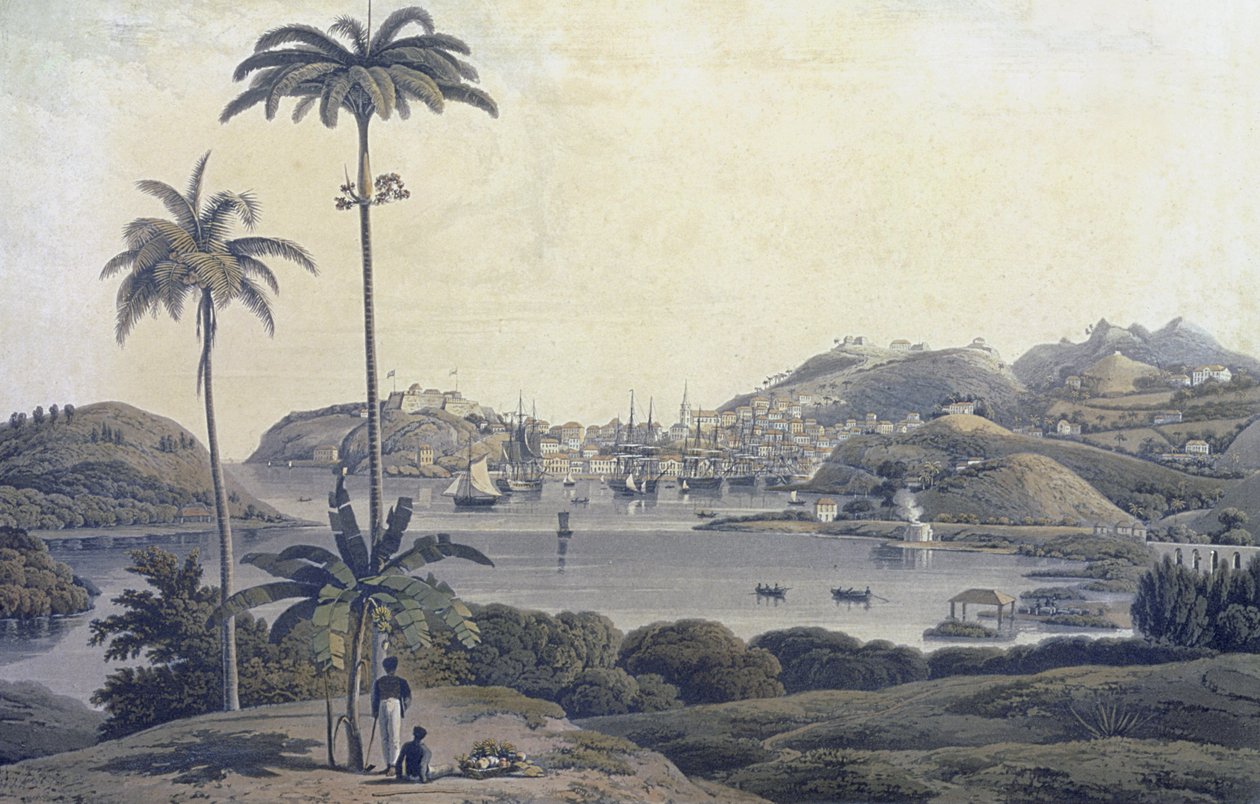 Vista de la ciudad de San Jorge en la isla de Granada, tomada desde la finca Belmont, grabado por William Daniell, c.1810 de Lieutenant Colonel J. Wilson