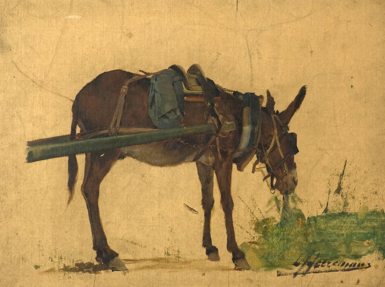 Estudio de una mula (óleo sobre lienzo) de Lievan Herremans