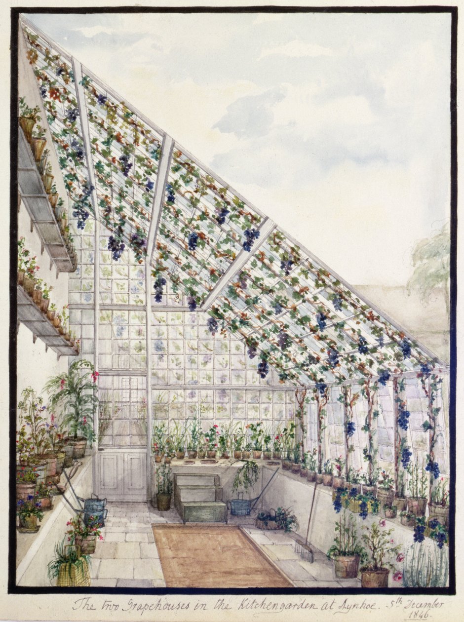 Las Dos Casas de Uvas en el Jardín de la Cocina, Aynhoe de Lili Cartwright