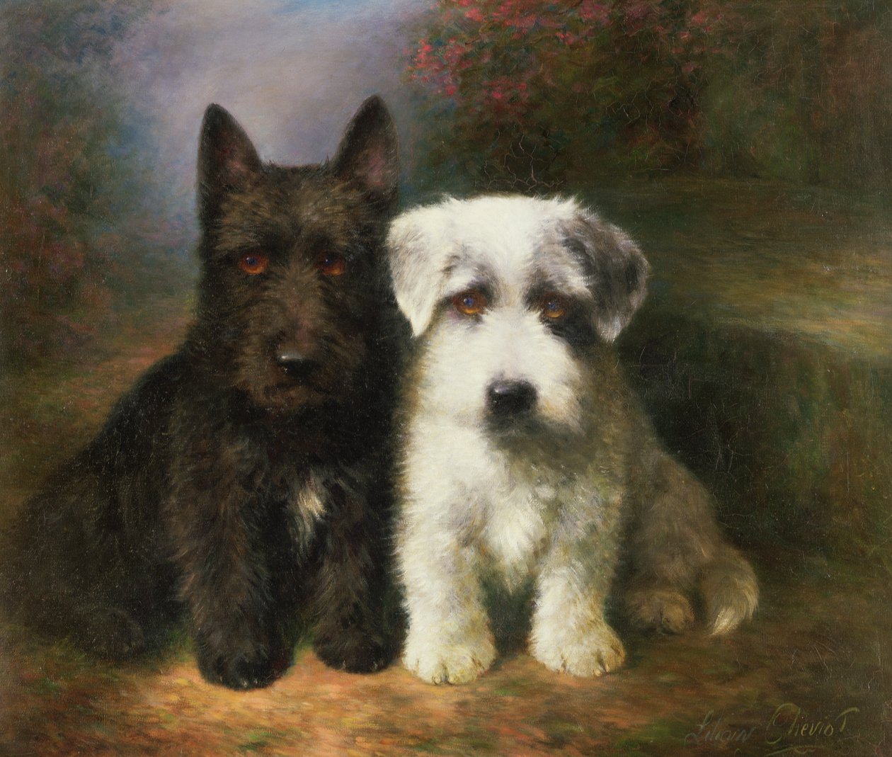 Un Terrier Escocés y un Terrier Sealyham de Lilian Cheviot