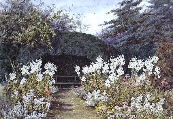 Lirios de Pascua en el jardín de Lilian Stannard