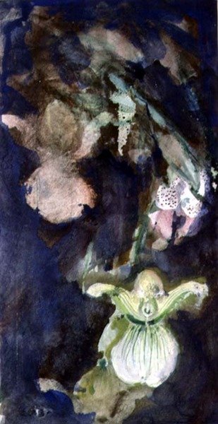 Orquídeas zapatilla de Lily Blatherwick