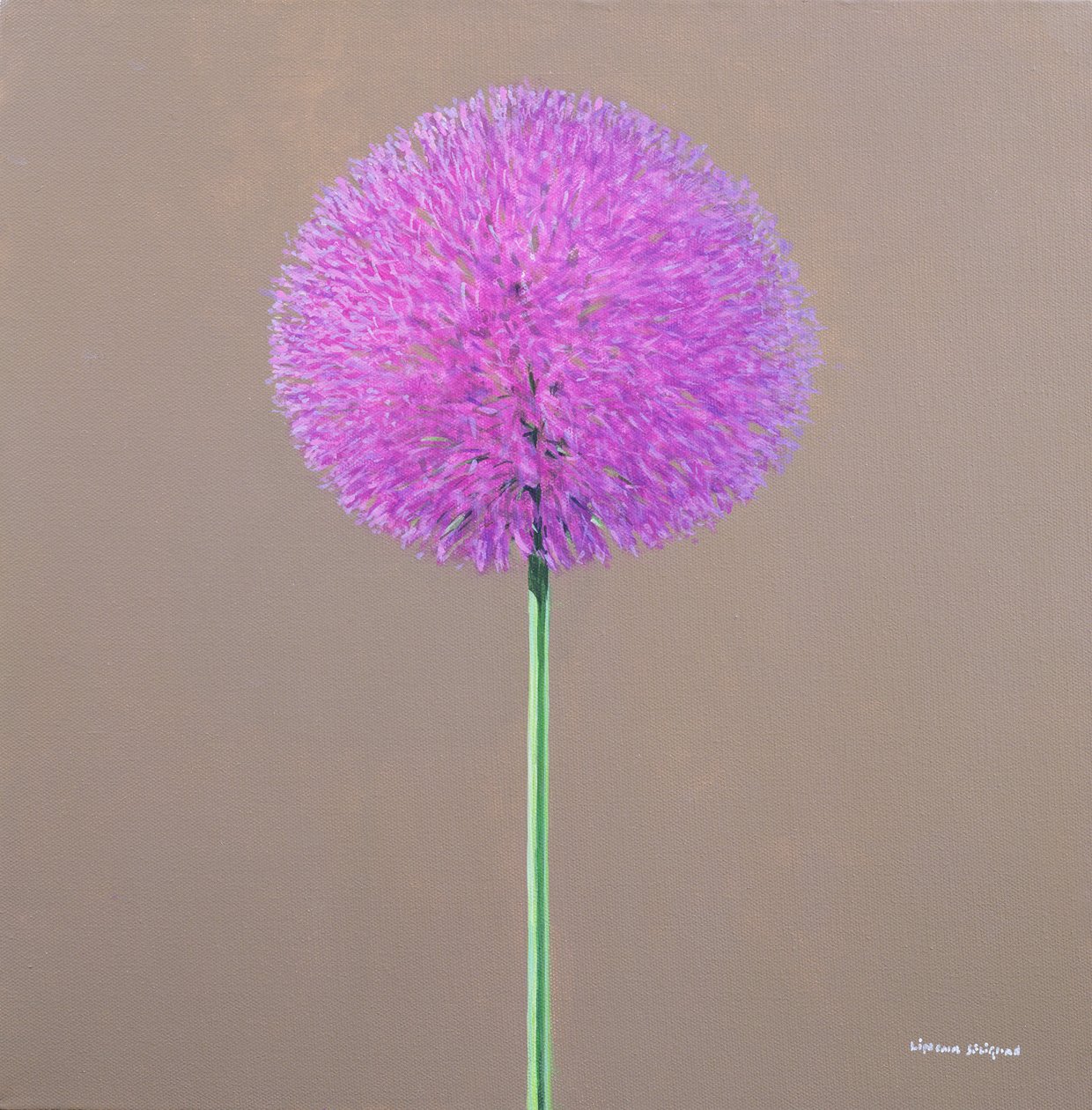 Alium de Lincoln Seligman