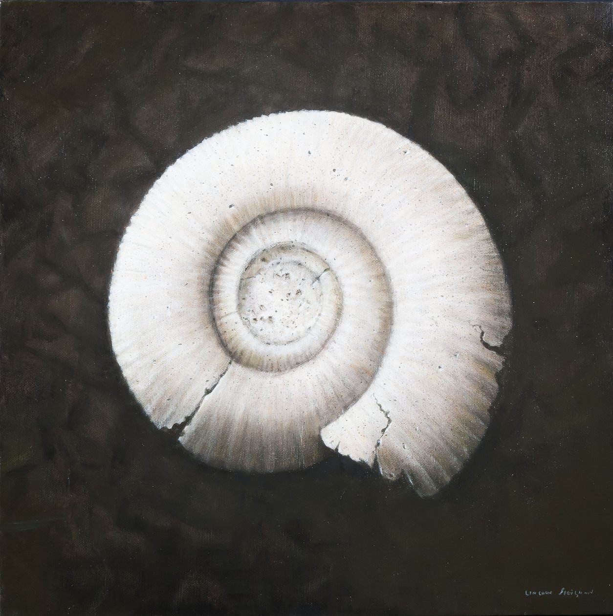 Amononita, 2012 de Lincoln Seligman