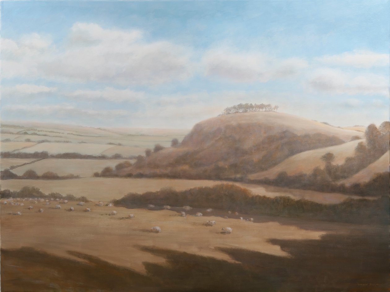 Paisaje de Gloucestershire, 2012 de Lincoln Seligman