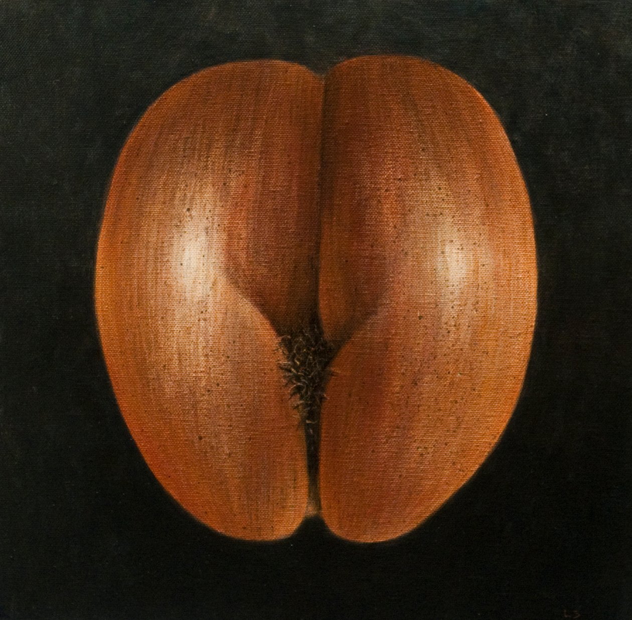 Coco de Mer de Lincoln Seligman