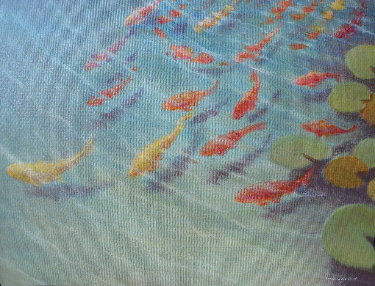 Estanque de peces de Lincoln Seligman