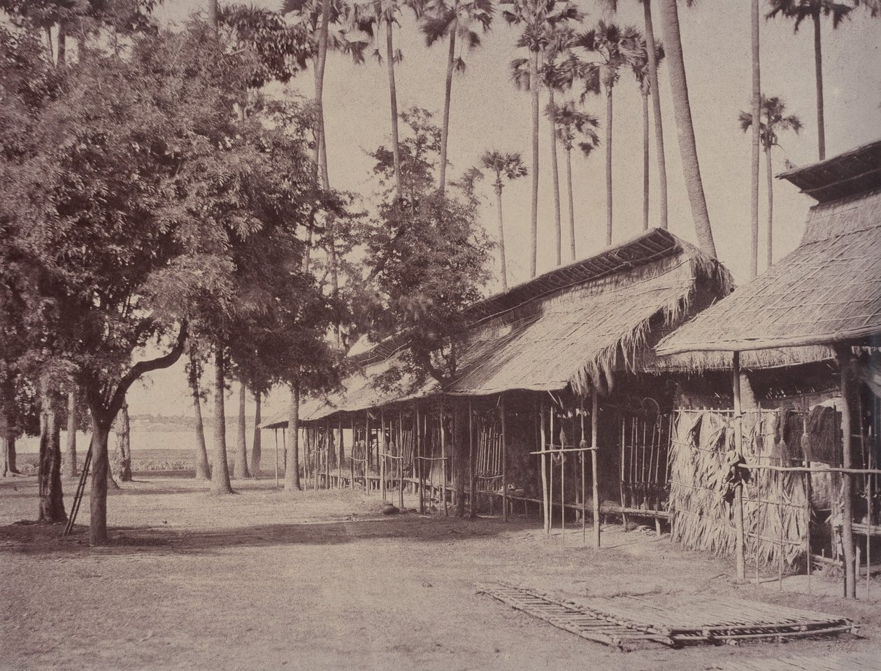 Amerapoora: Barracas de la Guardia Birmana de Linnaeus Tripe