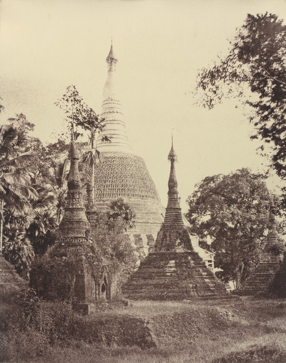 Rangún: Vista cercana de la Pagoda Shwe Dagon de Linnaeus Tripe