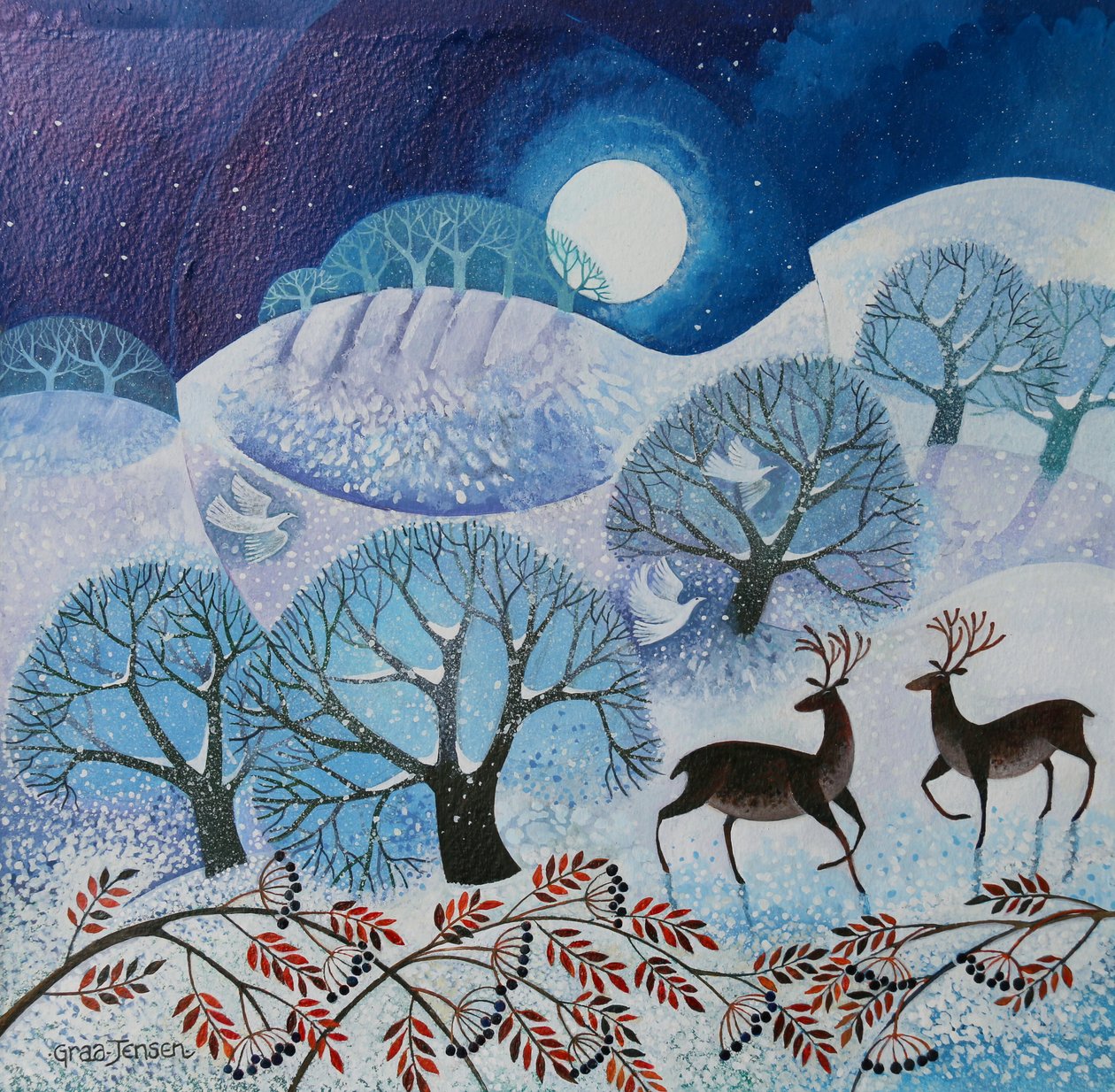 Tierra nevada, 2017 de Lisa Graa Jensen