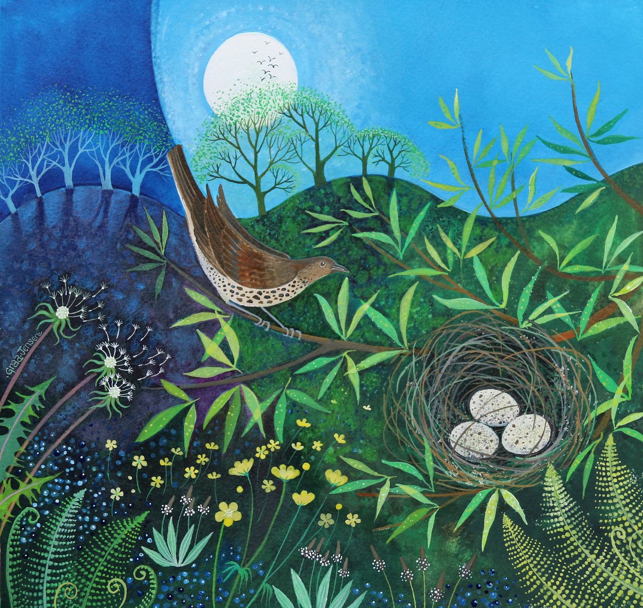 Zorzal de Lisa Graa Jensen