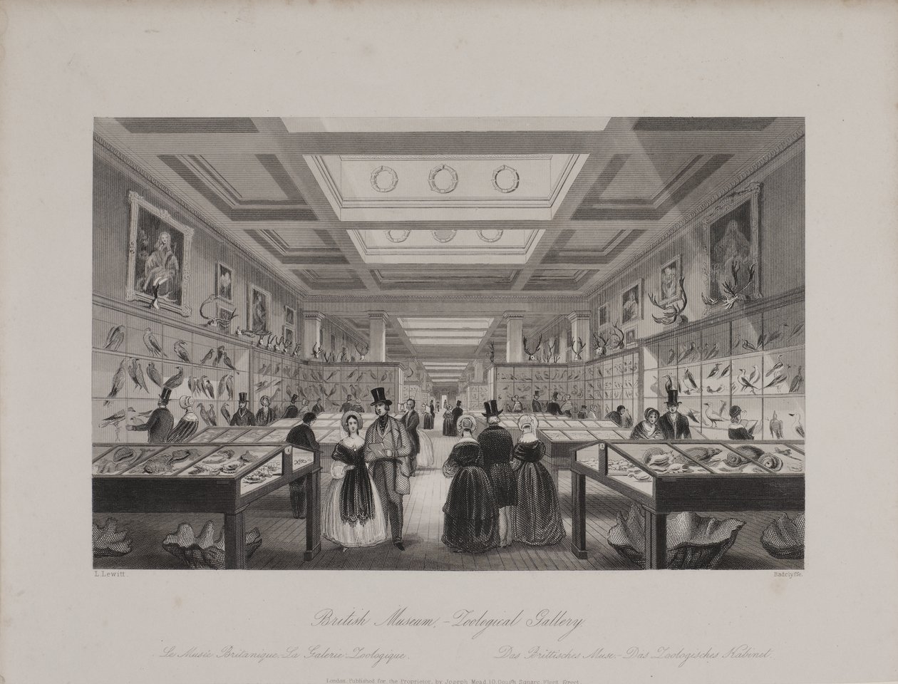 Vista de la Galería Zoológica, Museo Británico mostrando visitantes mirando las exhibiciones, c.1850 (grabado) de Llewellyn (after) Jewitt