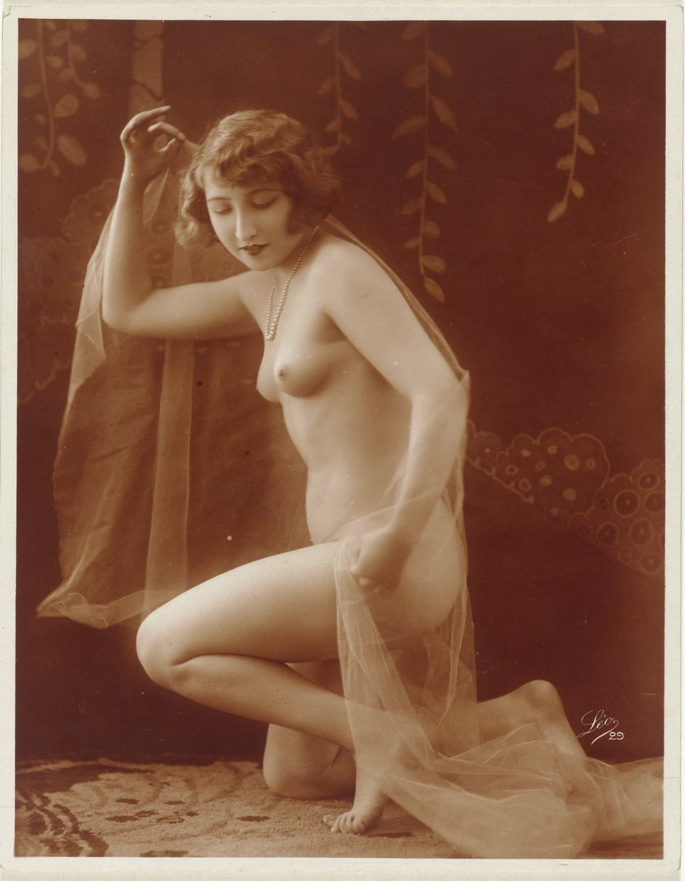 Desnudo femenino con velo de Léo