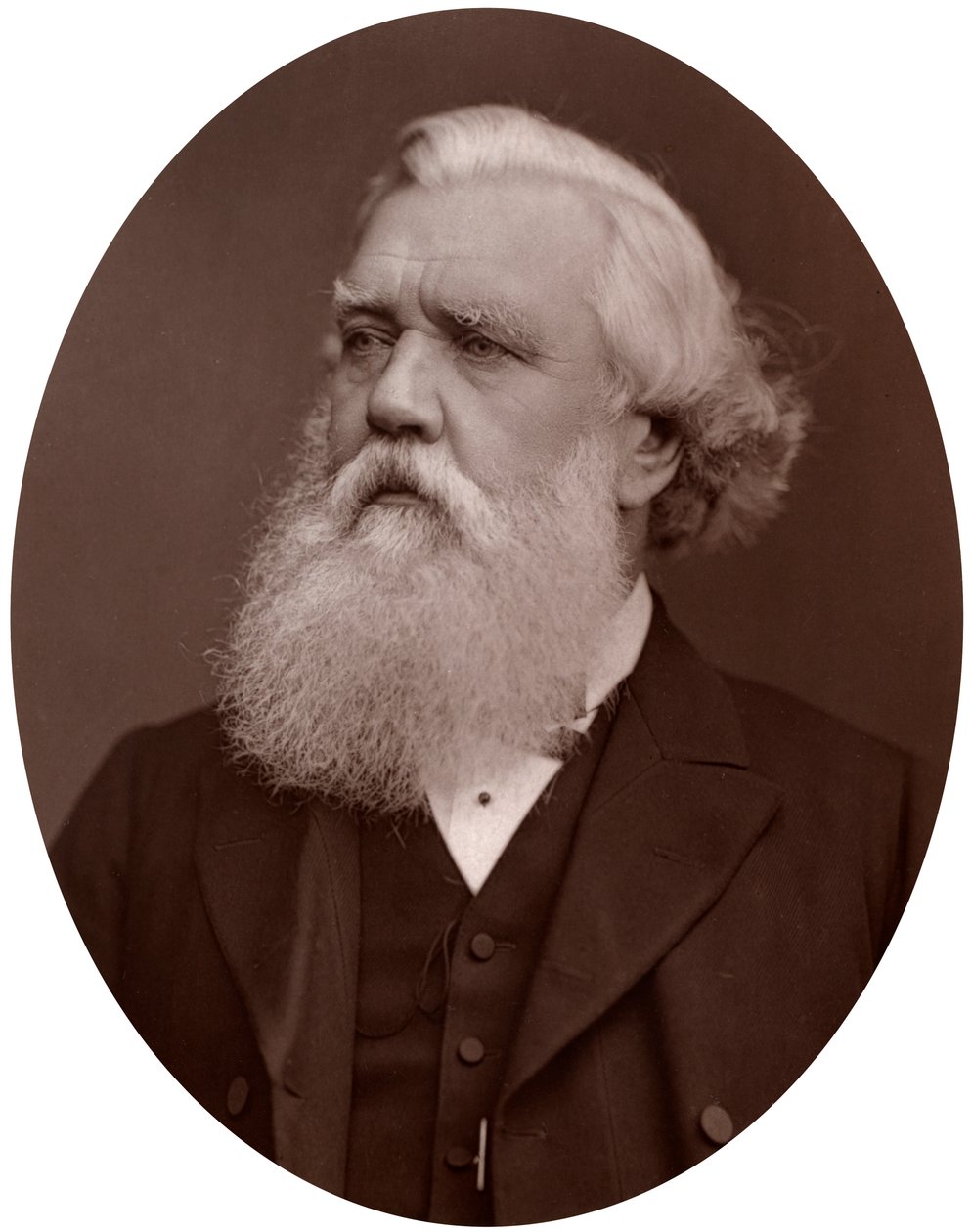 El Honorable Austen Henry Layard DCL, Embajador Británico en Constantinopla, 1877 de Lock and Whitfield