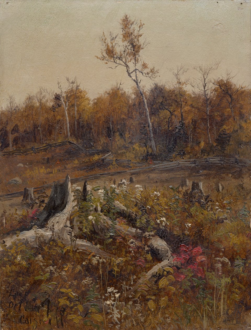Paisaje de Lockwood de Forest