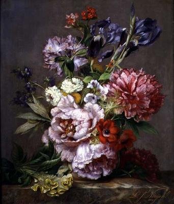 Imagen desconocida de Lodewijk Johannes Nooijen