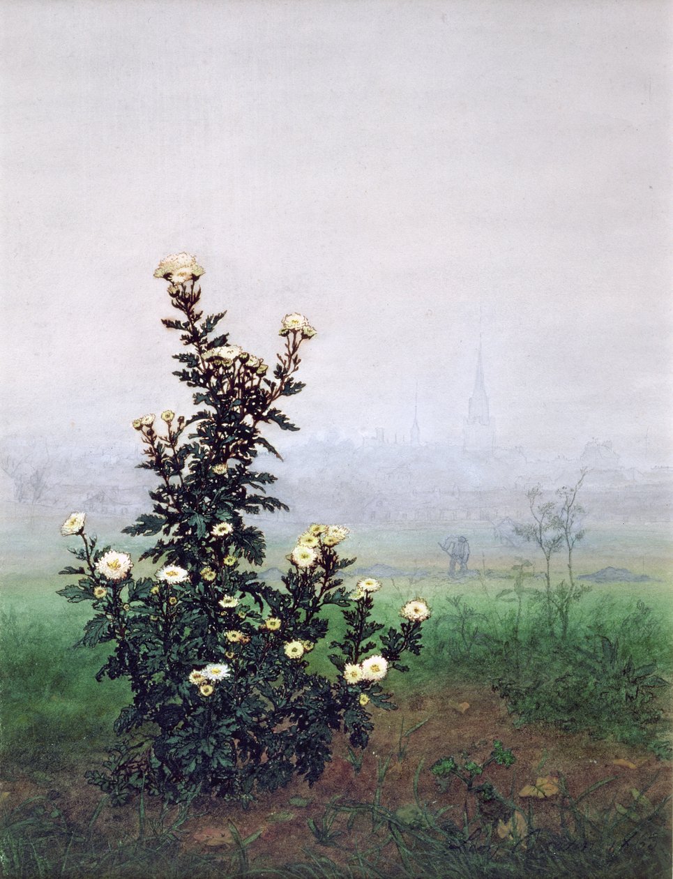 Crisantemo floreciente con trabajador, 1863 de Léon Bonvin