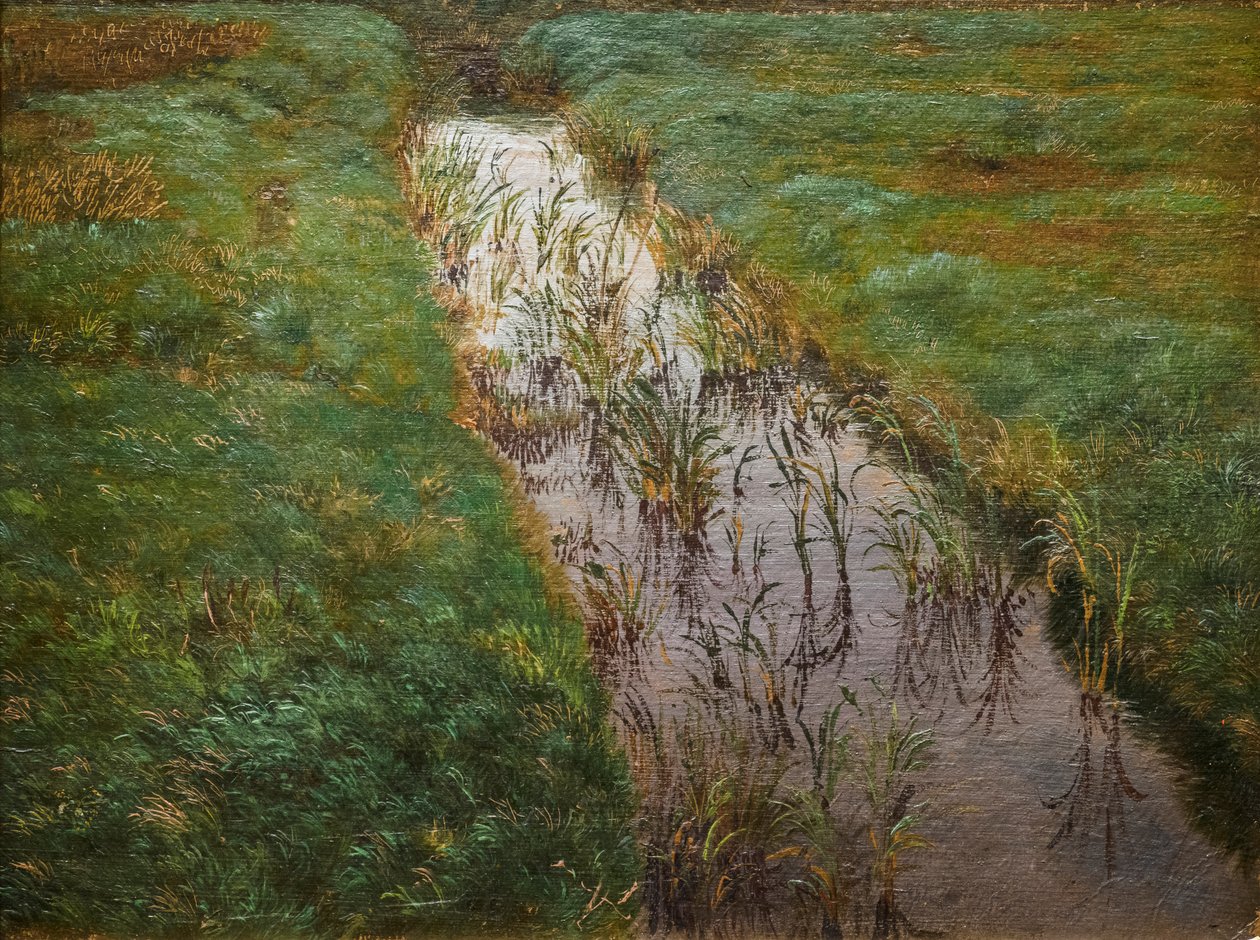 Una zanja, c.1850 (óleo sobre lienzo) de Lorens Frolich