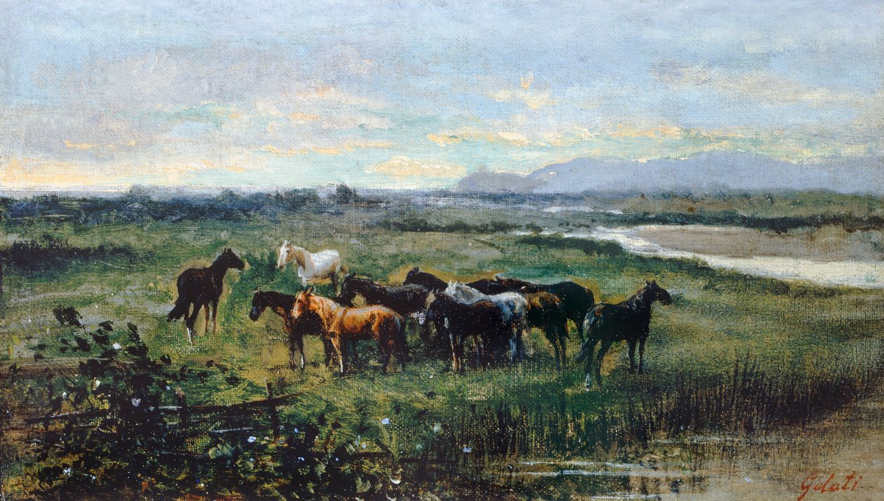 Caballos salvajes, hacia 1870, de Lorenzo Gelati (1824-1893), óleo sobre lienzo transferido sobre tabla, 21x37 cm de Lorenzo Gelati