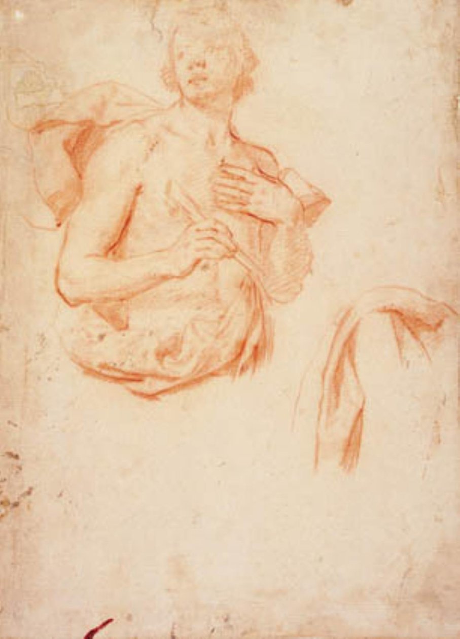 Joven, medio cuerpo con torso desnudo, y un estudio de drapeado de Lorenzo Lippi