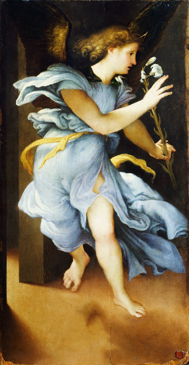 Ángel anunciador, circa 1525, por Lorenzo Lotto (1480 ca- 1556) de Lorenzo Lotto