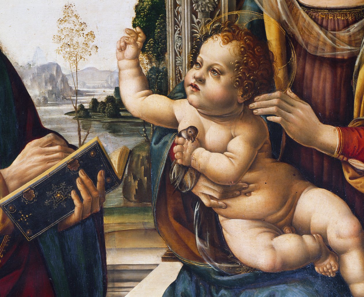 Niño Jesús, detalle de la Virgen con el Niño y los Santos de Lorenzo di Credi