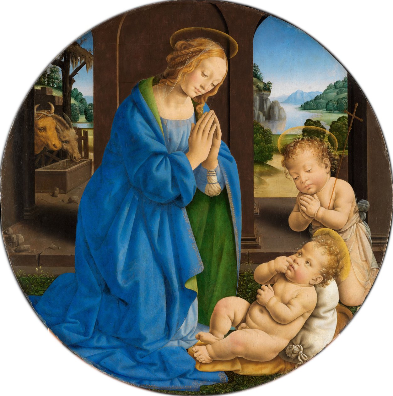 María adorando al Niño, con san Juan niño de Lorenzo di Credi